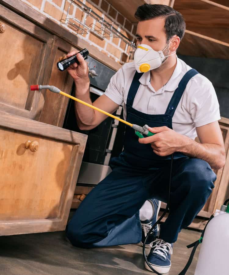 Pest Control Services