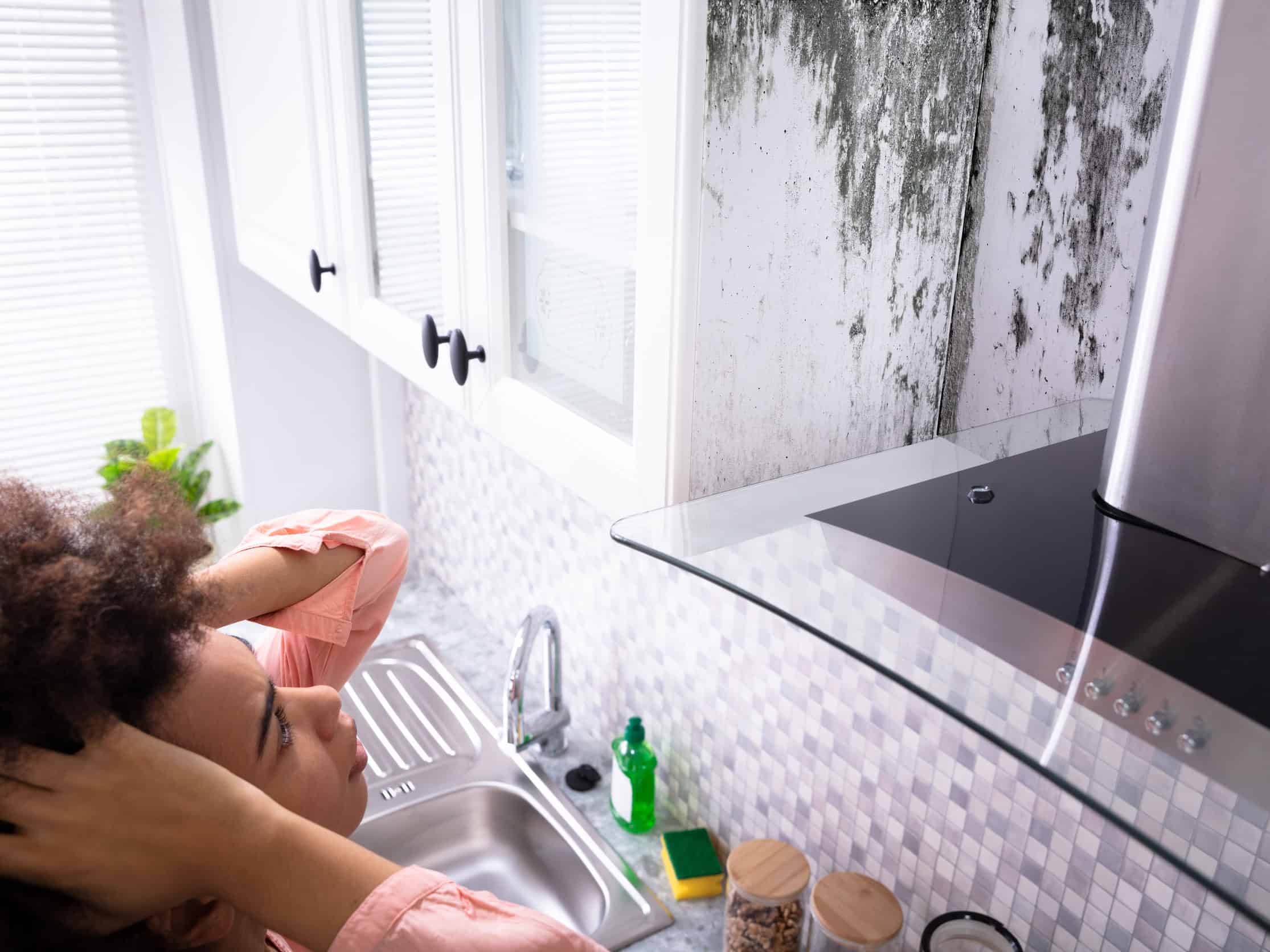 Black Mold vs. Mildew Differences